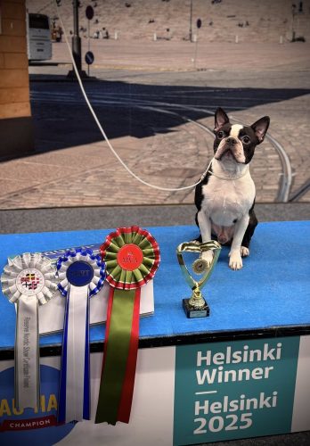 595662800_10240476748793765_8405192542551230939_n